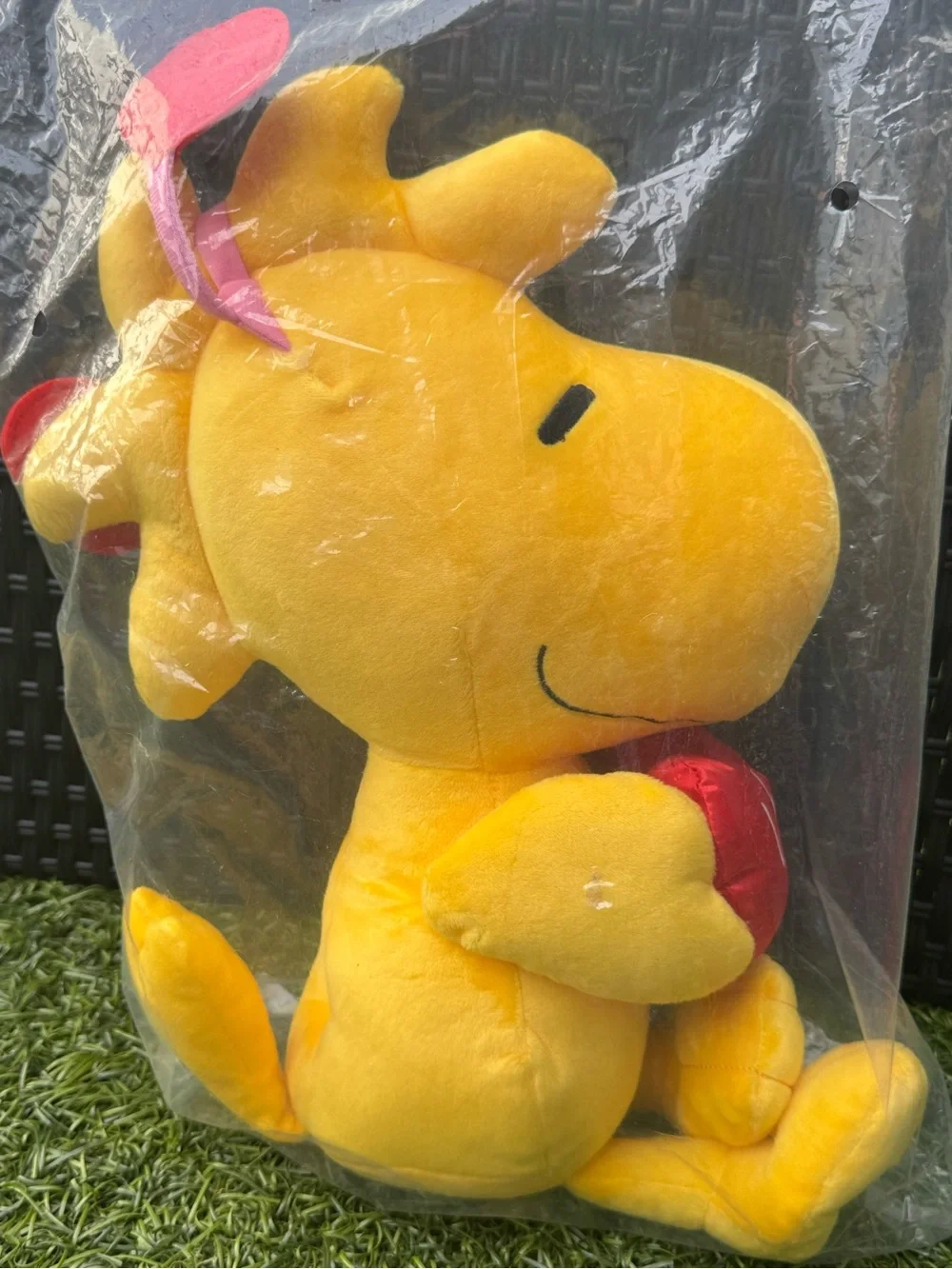 🎀 Peanuts Woodstock Valentine Large 15